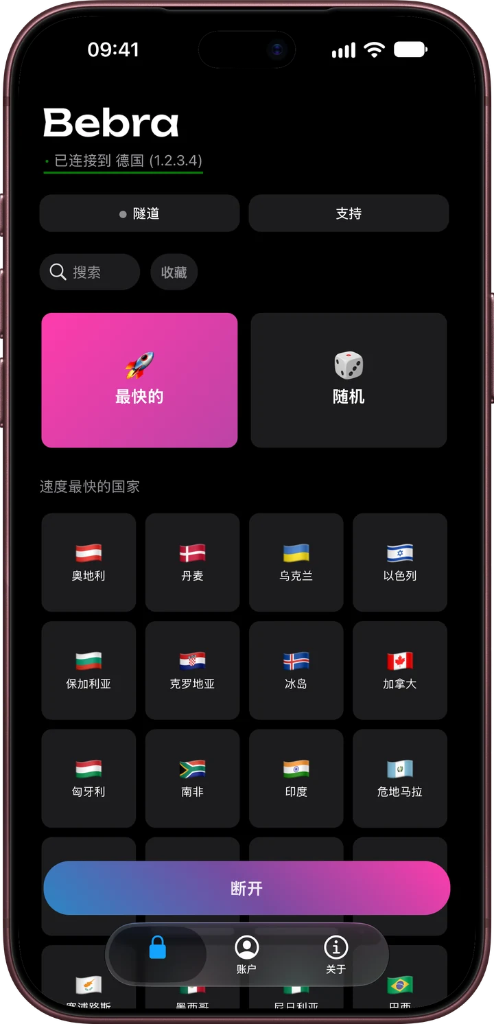 iPhone 上 Bebra PROXY 的主界面和国家网格